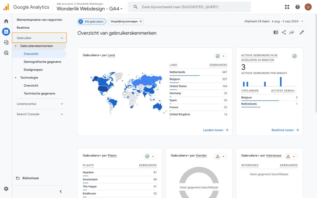 Google Analytics Rapport Gebruiker