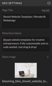 SEO metadata in Showit